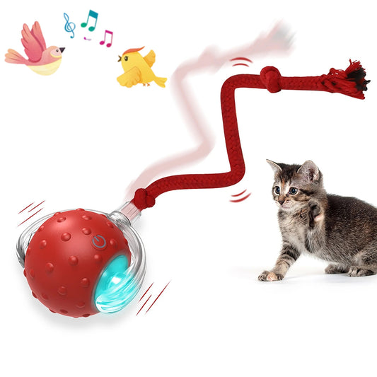 Cat Toy Chirp & Chase Motion Activated Cat Ball with LED Lights